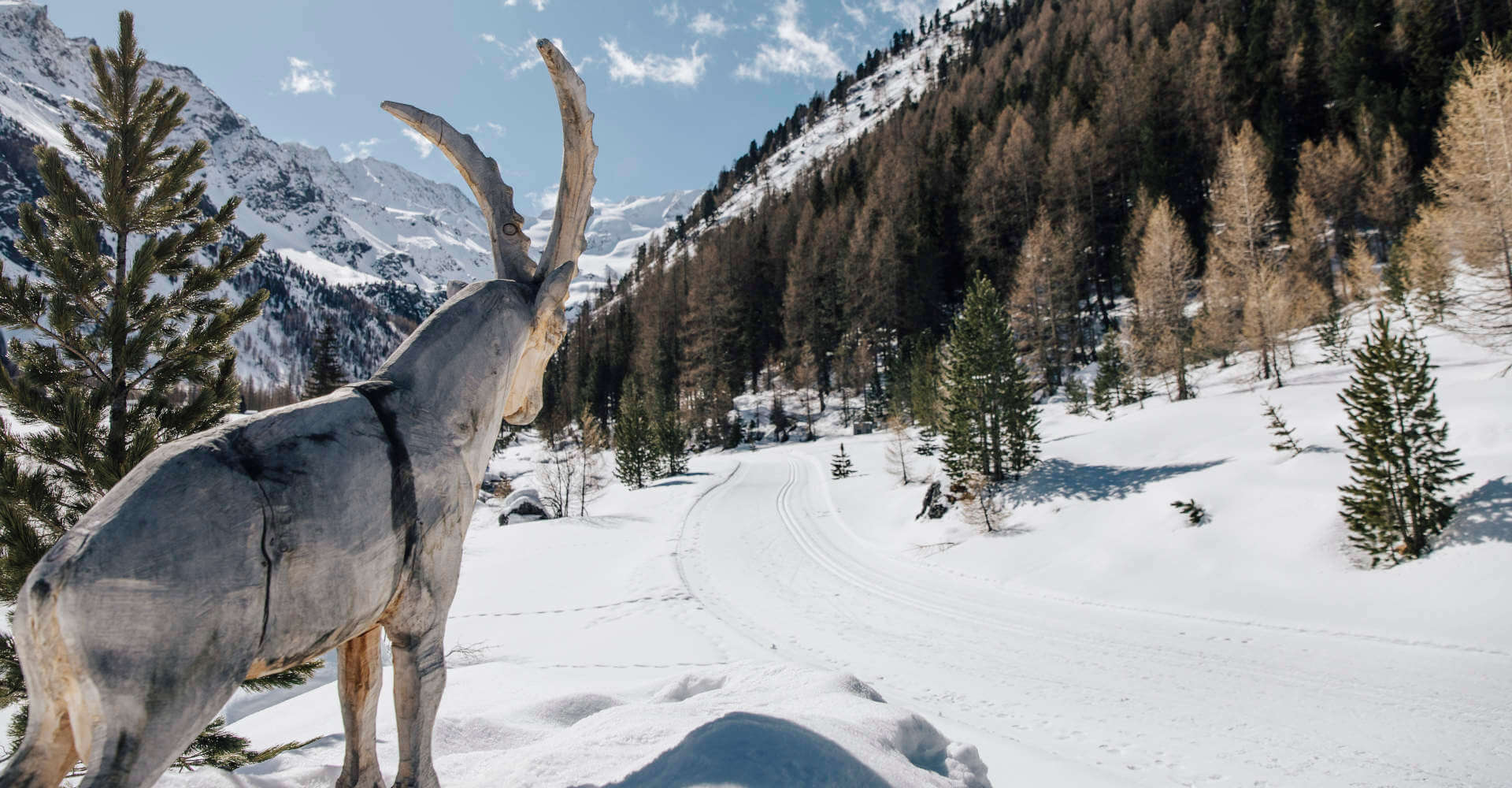 Winterurlaub Vinschgau - Oberköbenhof / Südtirol